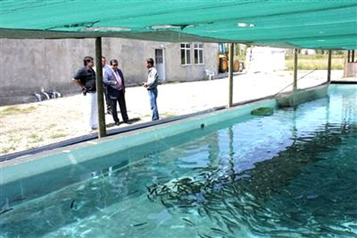 Erzincan\'da Su Ürünleri Sektörü Gelişiyor