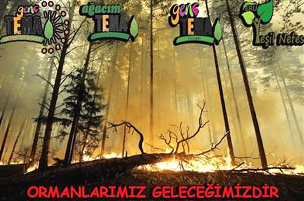 Orman Yangınlarının Tek Nedeni İnsan