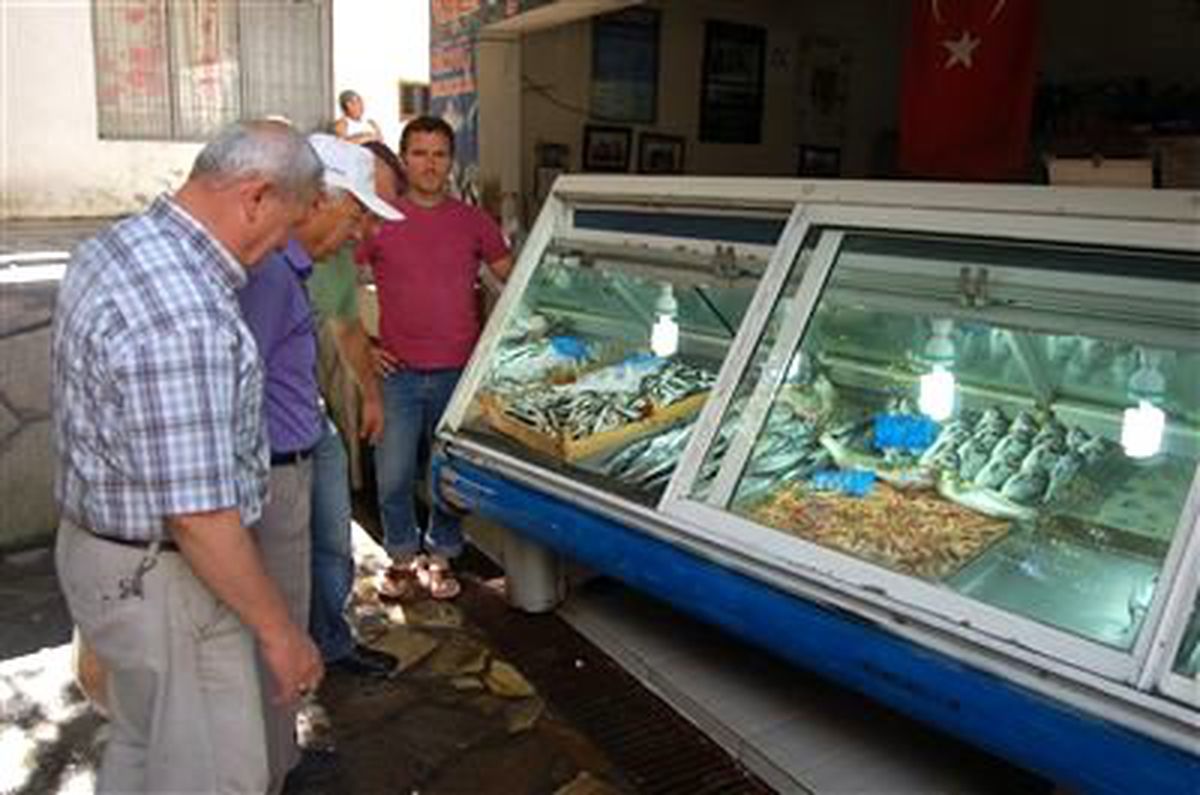 Palamut Yüzünü Gösterdi