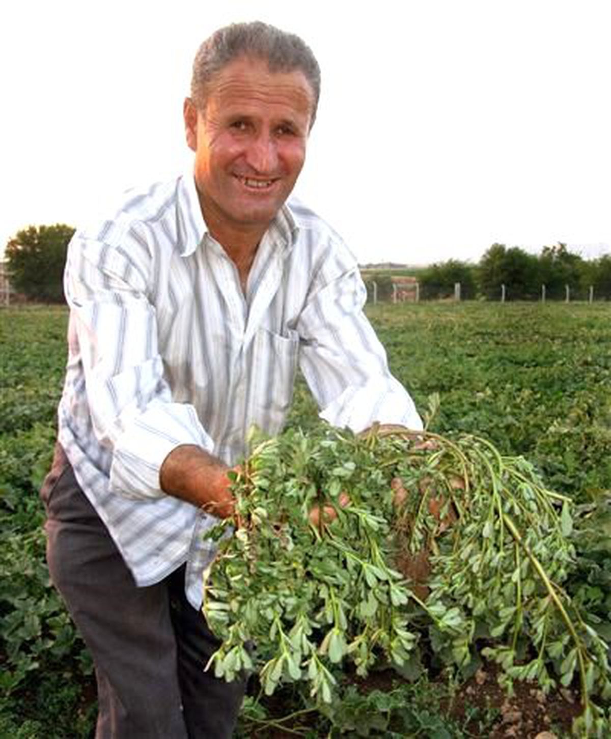 Pirpirim, Arabanlıların Sofralarının Vazgeçilmezi Oldu