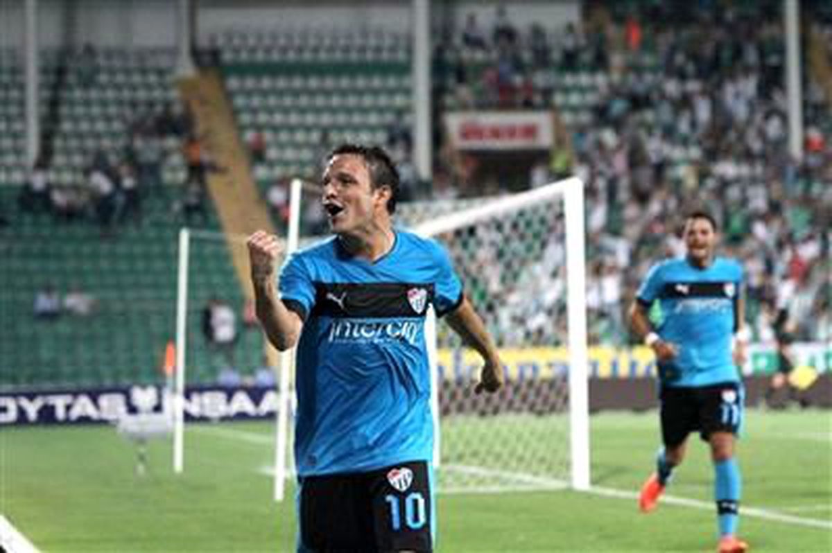 Timsah Zorlu Viraja Giriyor