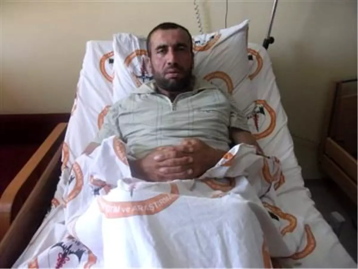 Ayıdan Keçilerini Kurtardı Ama Kendisini Kurtaramadı