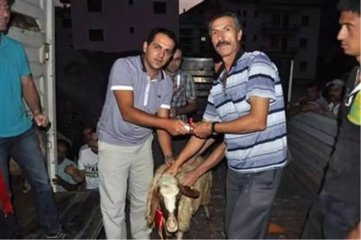 Derebucak'ta Koyunculuk Projesi