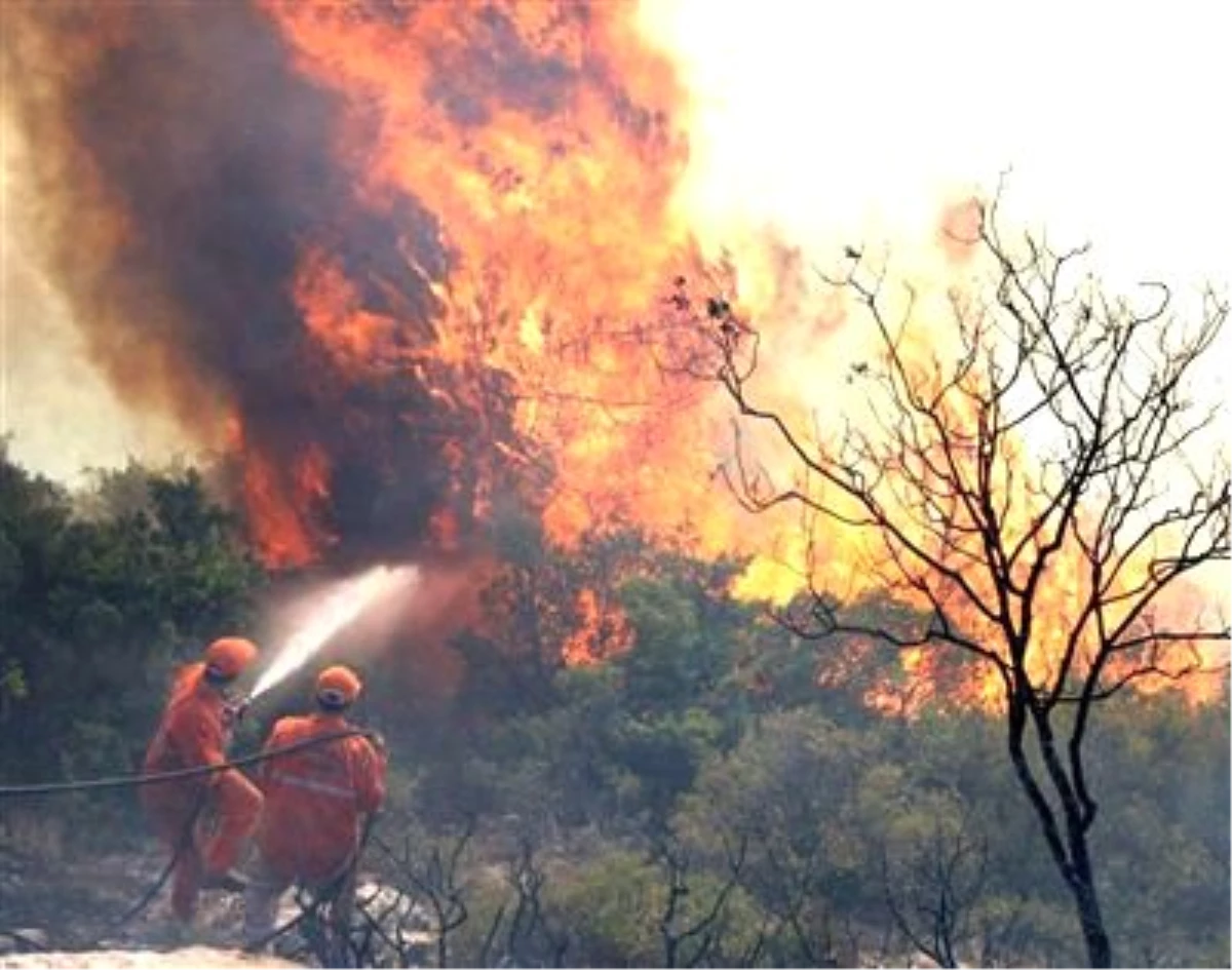 Ormanda Büyük Yangın Alarmı İzinleri Kaldırttı