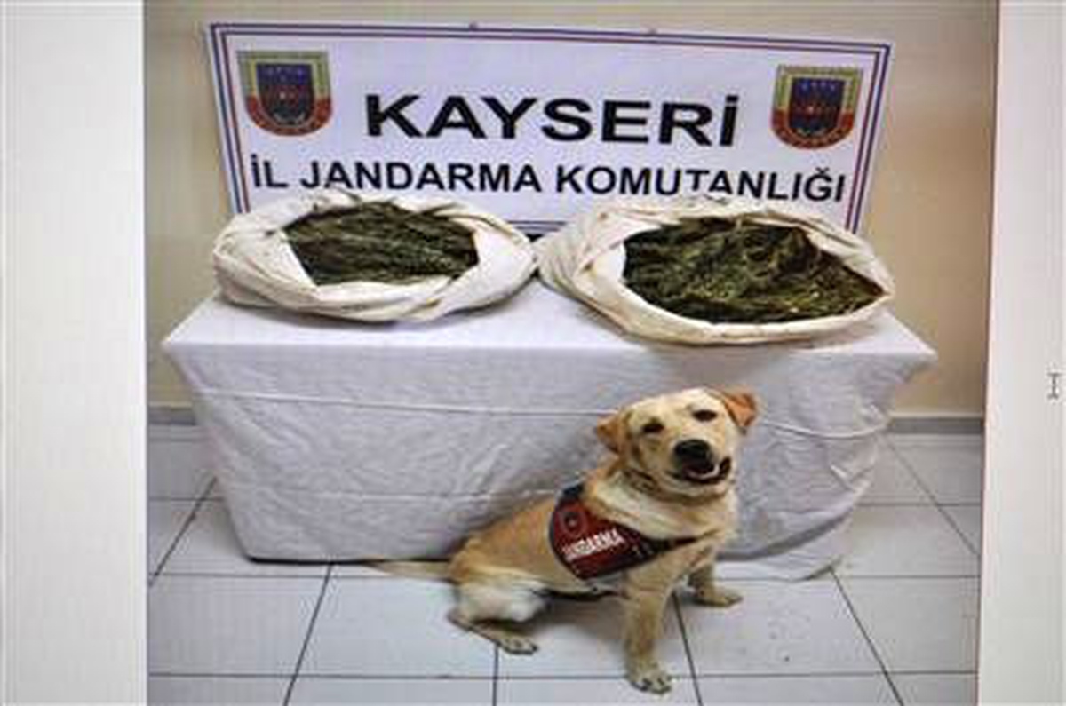 Otobüsün Bagajında 9 Kilo Esrar Bulundu