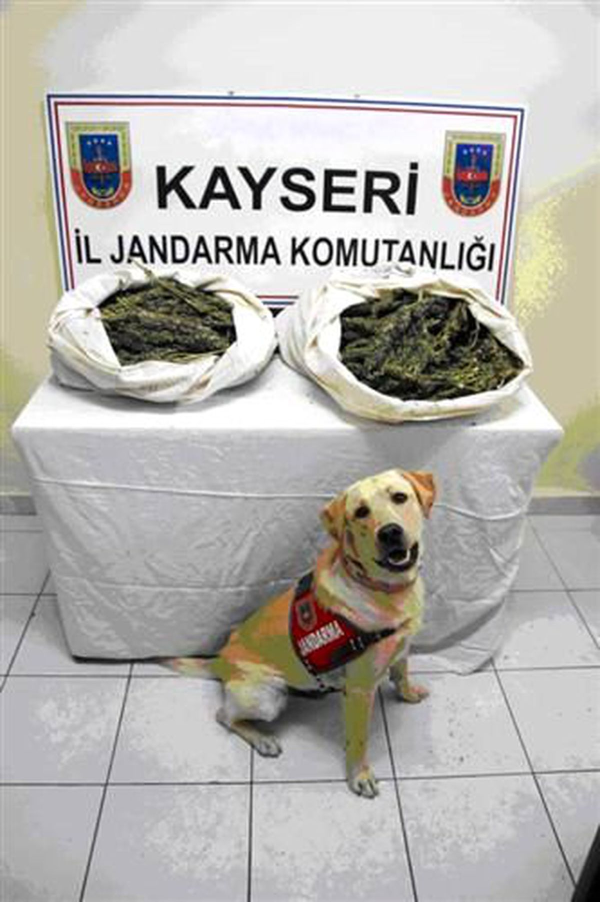 Yolcu Otobüsünde 9,5 Kilo Esrar Ele Geçirildi
