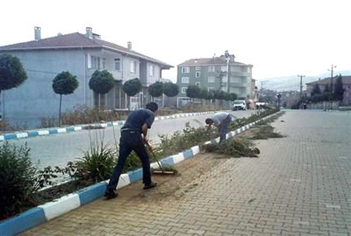 Pazaryeri\'nde Bayram Temizliği