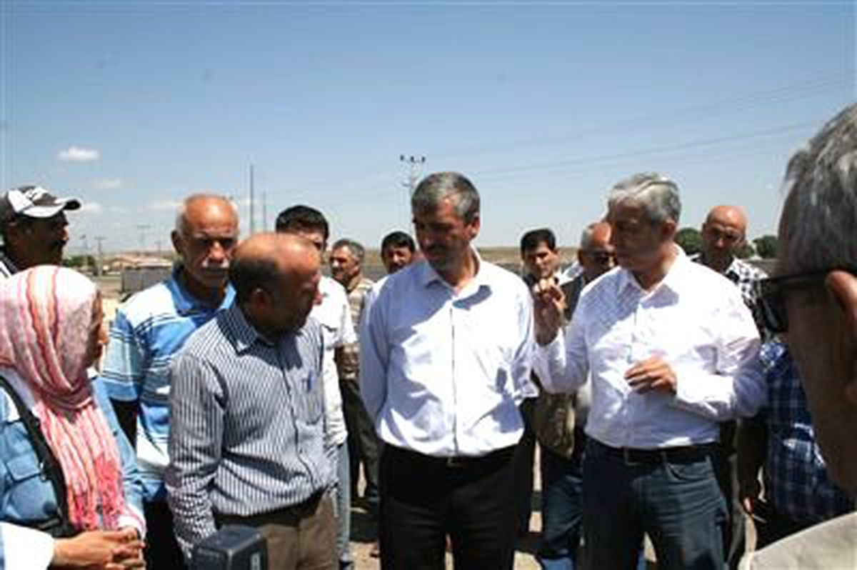 Selim\'e Modern Hayvan Pazarı