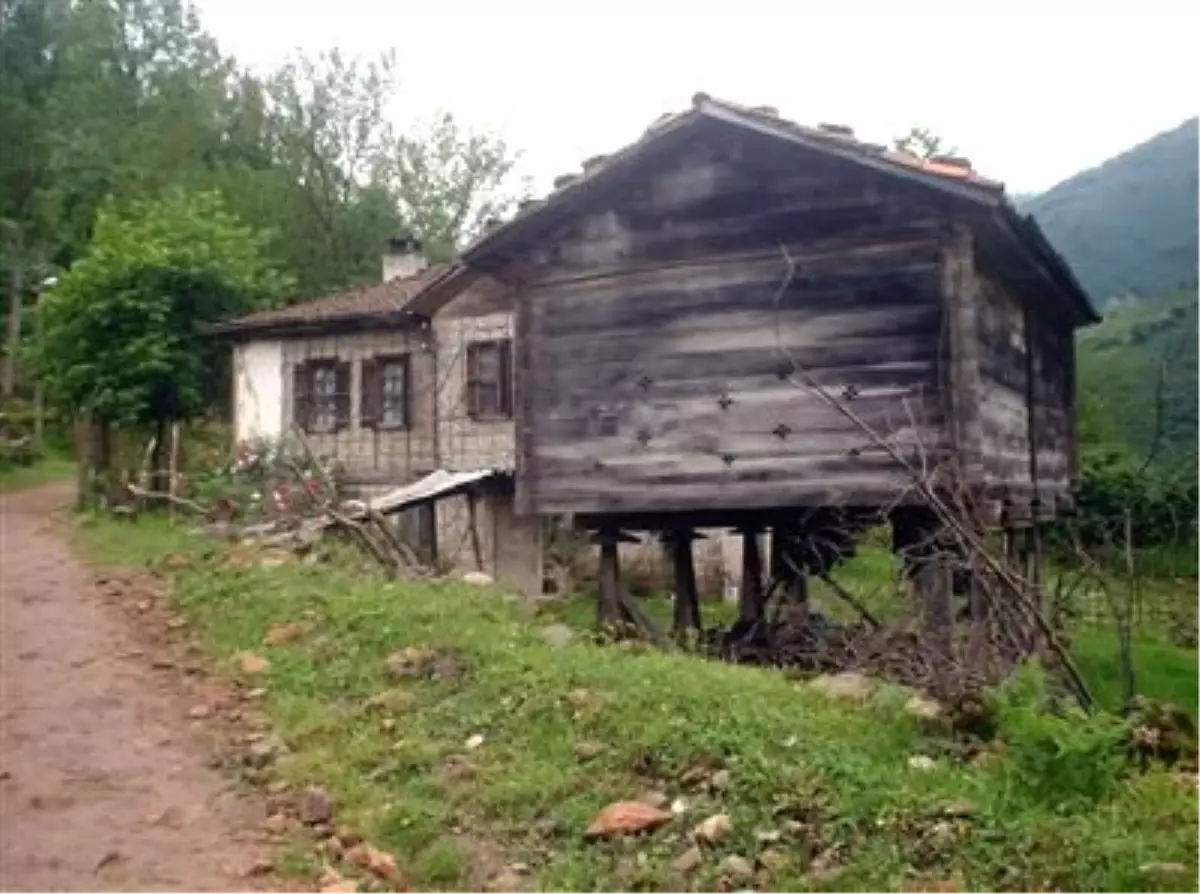 Serender Kültürü Karadeniz'de Yaşıyor