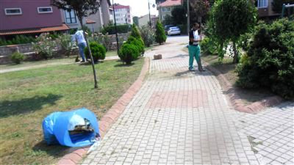 Parklarda Bakım Seferberliği