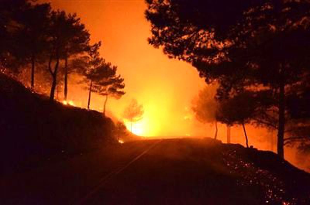 Sakız Adası, Orman Yangını ile Başedemiyor