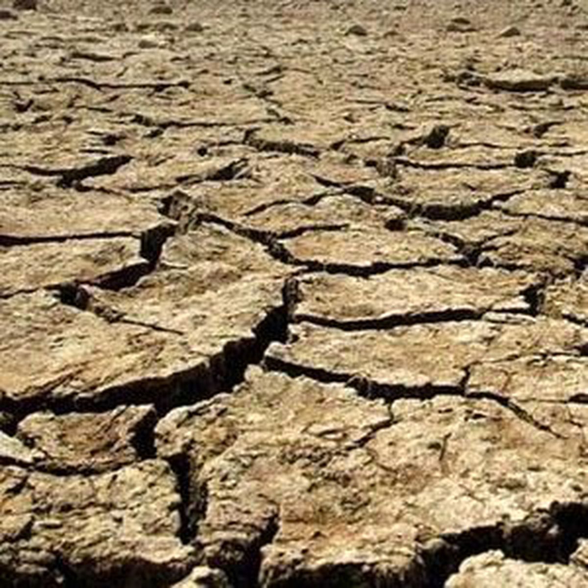 Tarımsal Kuraklık Yönetimi Oluşturuldu