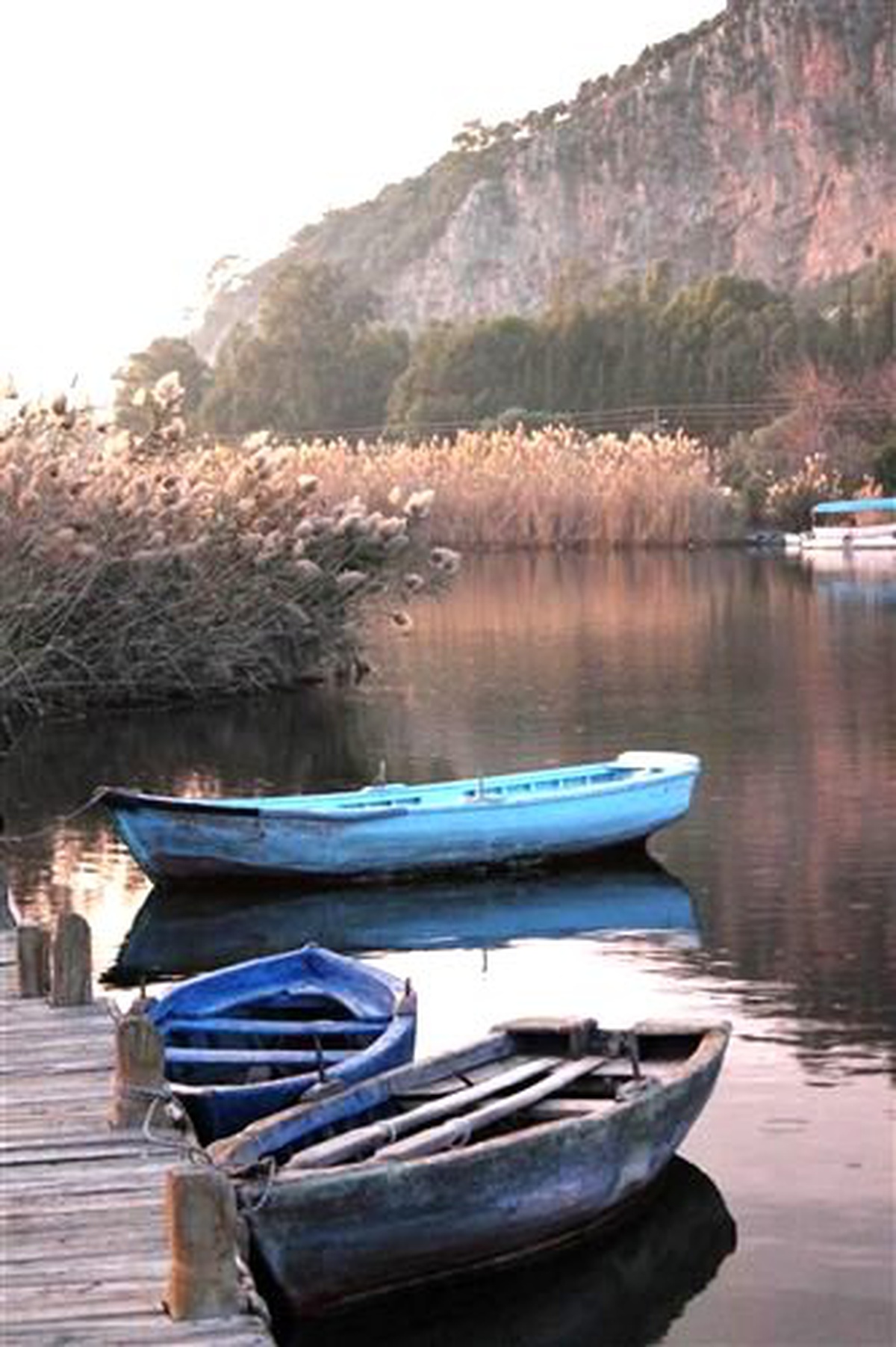 Köyceğiz-Dalyan Öçk Bölgesinin Yıllık Ekonomik Değeri 51 Milyon Dolar