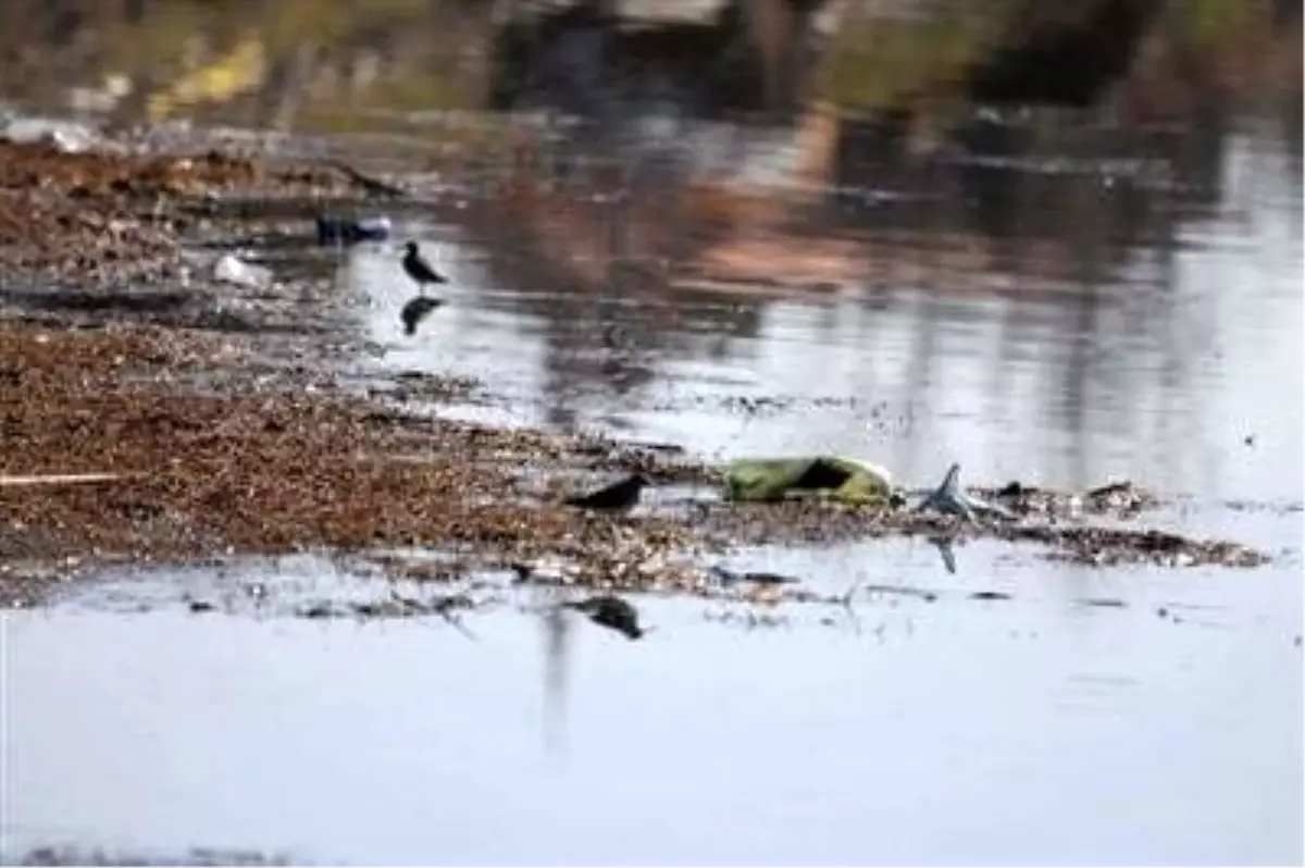 'Kuş Cenneti Işıklı Göl'de Kırmızı Alarm