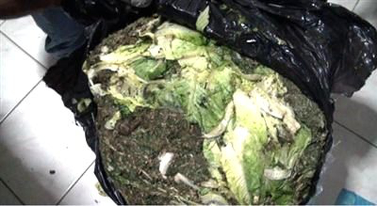 Otobüsle Esrar Taşıyan Yolcu Tutuklandı