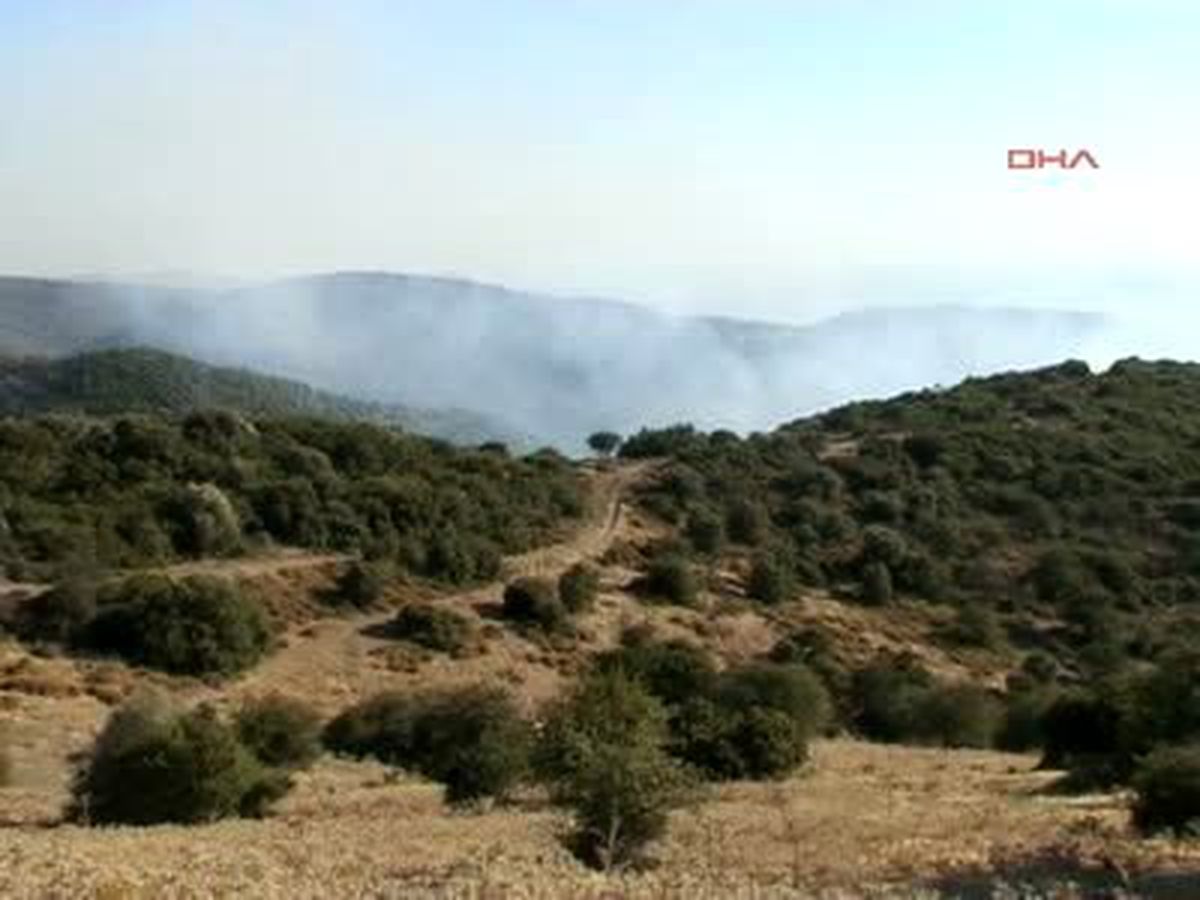 Seferihisar\'da Orman Yangını