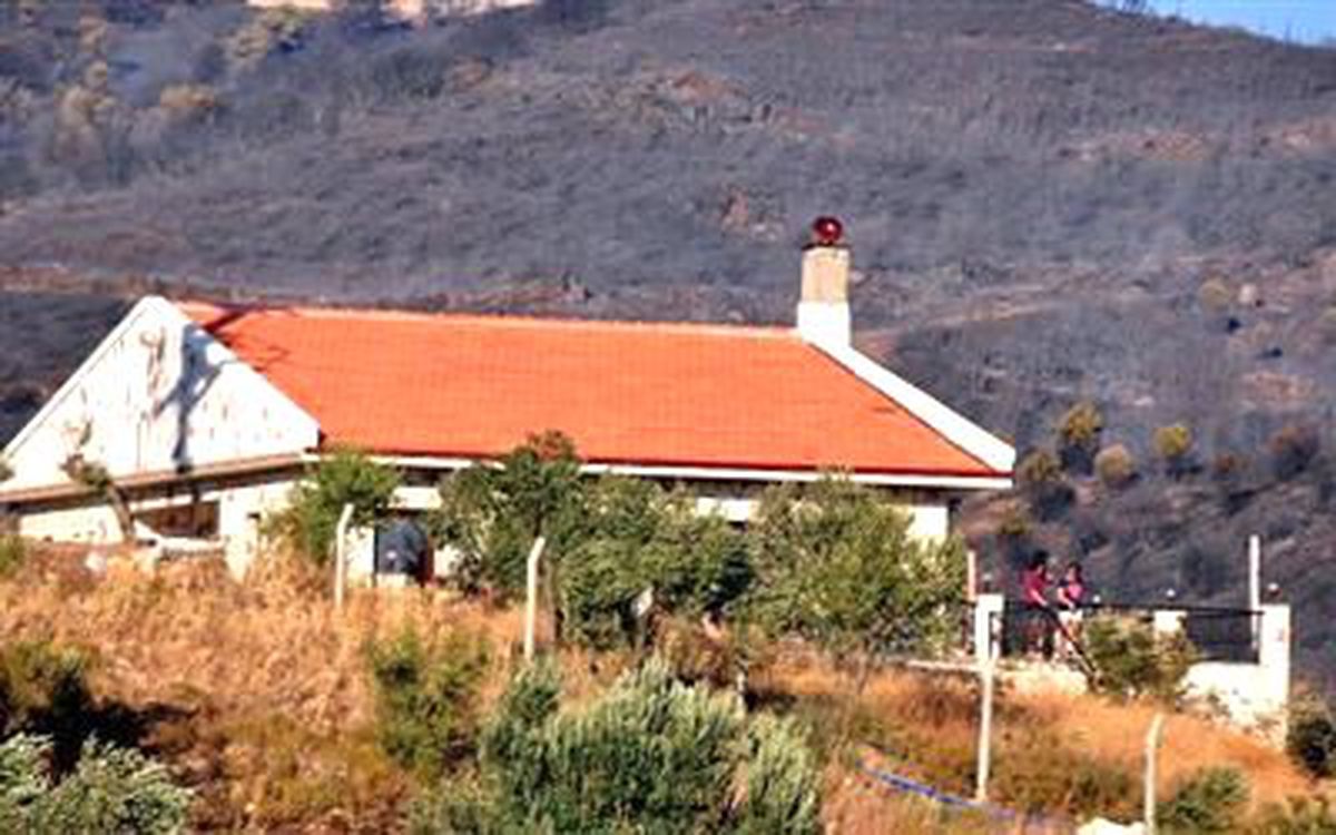 Yeniden - Seferihisar\'da Yangın (2)