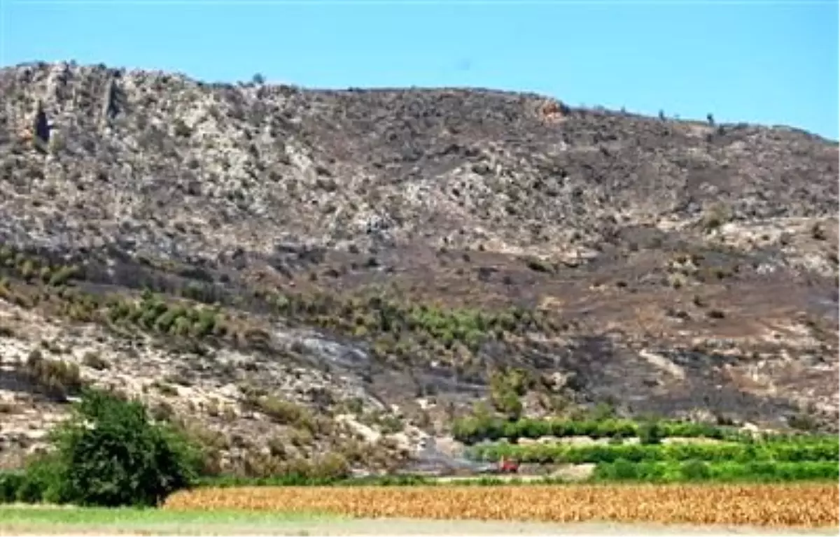 Adana\'daki Orman Yangını