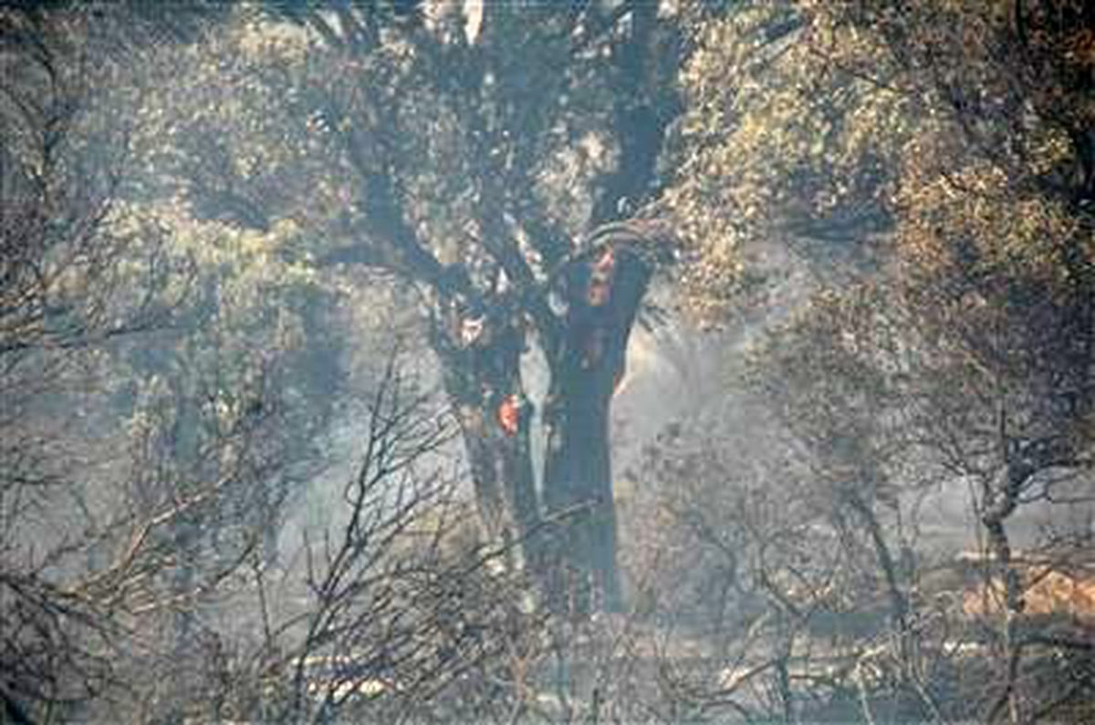 Aliağa\'da Yangın