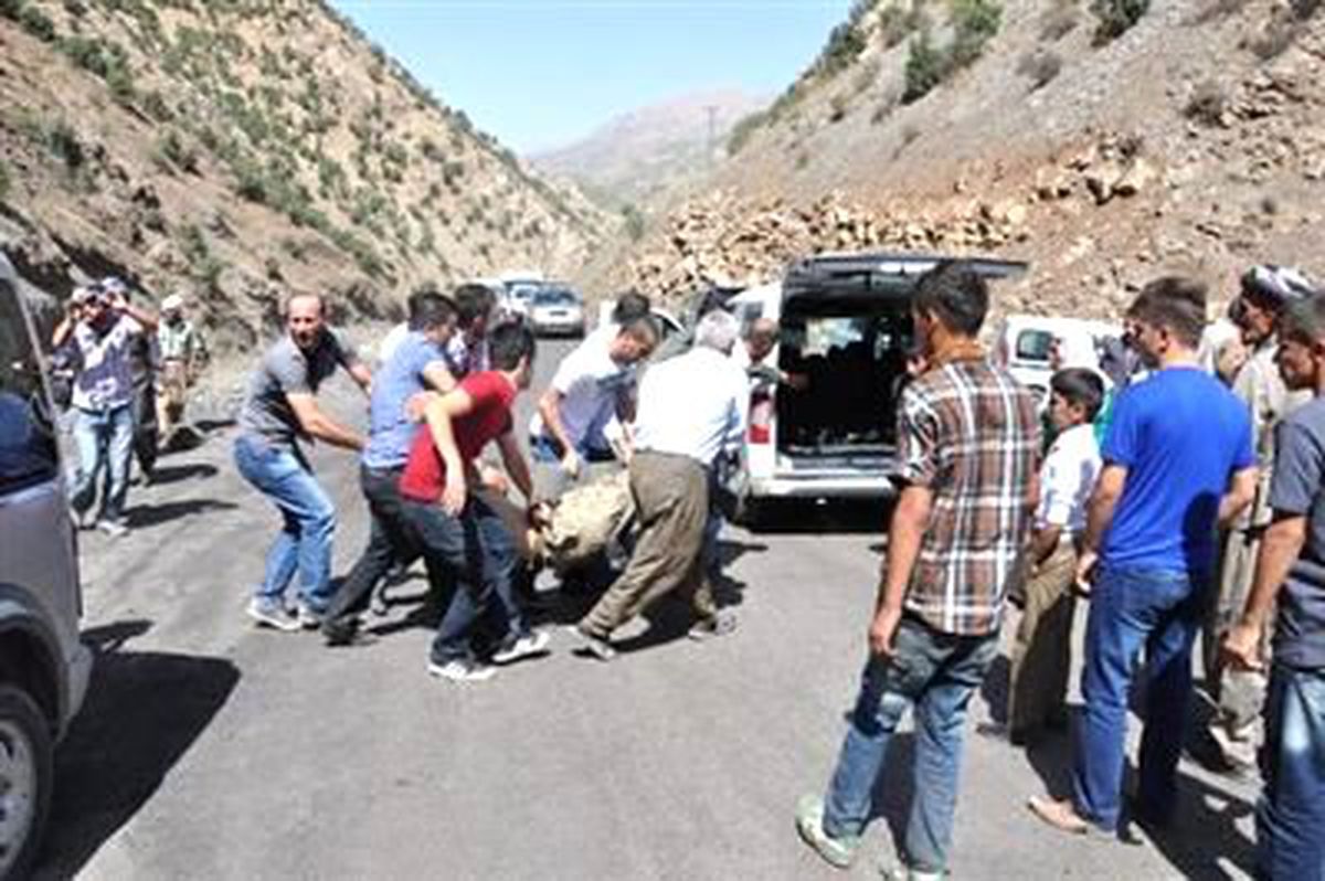 Askerleri Taşıyan Minibüs Devrildi: 10 Şehit (2)
