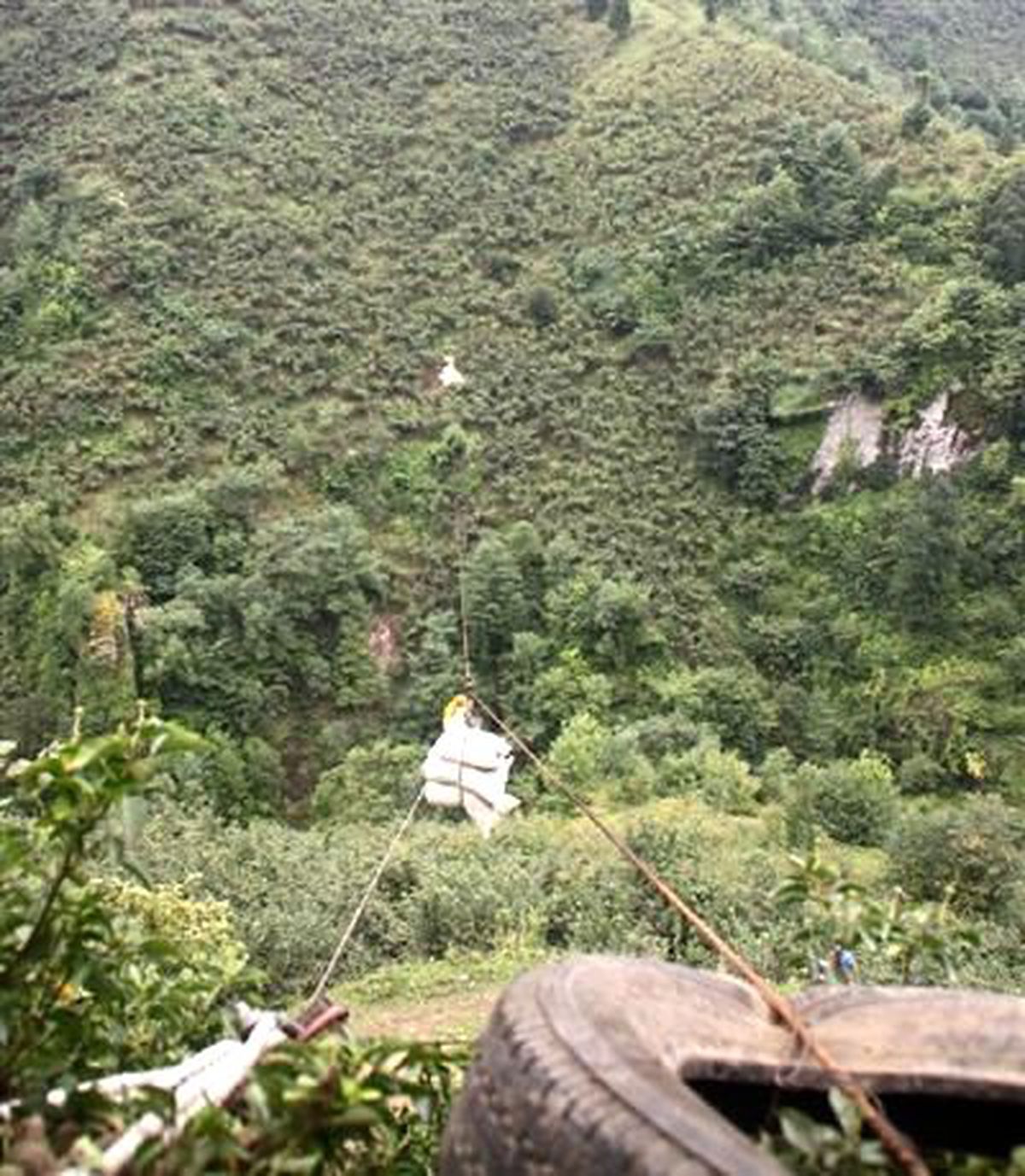 İlkel Teleferikle Fındık Hasadı