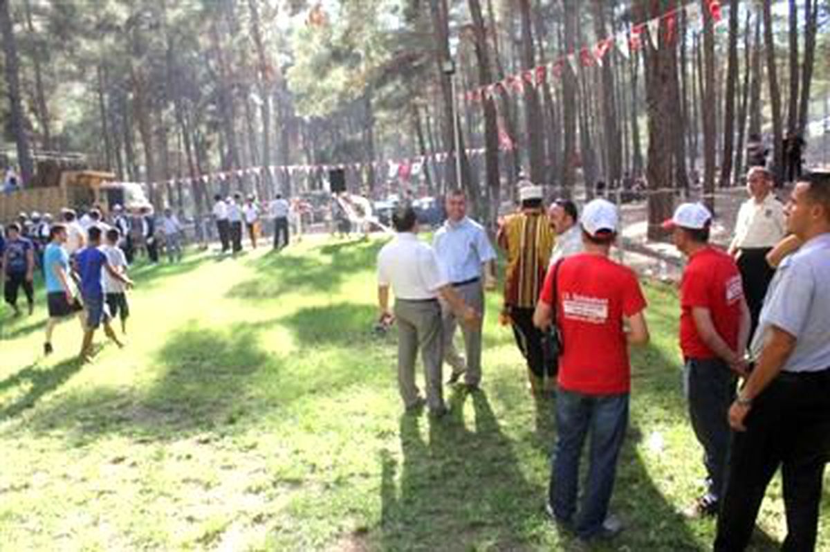 Suriye\'deki Orman Yangını Yayladağı\'na Sıçradı (4)