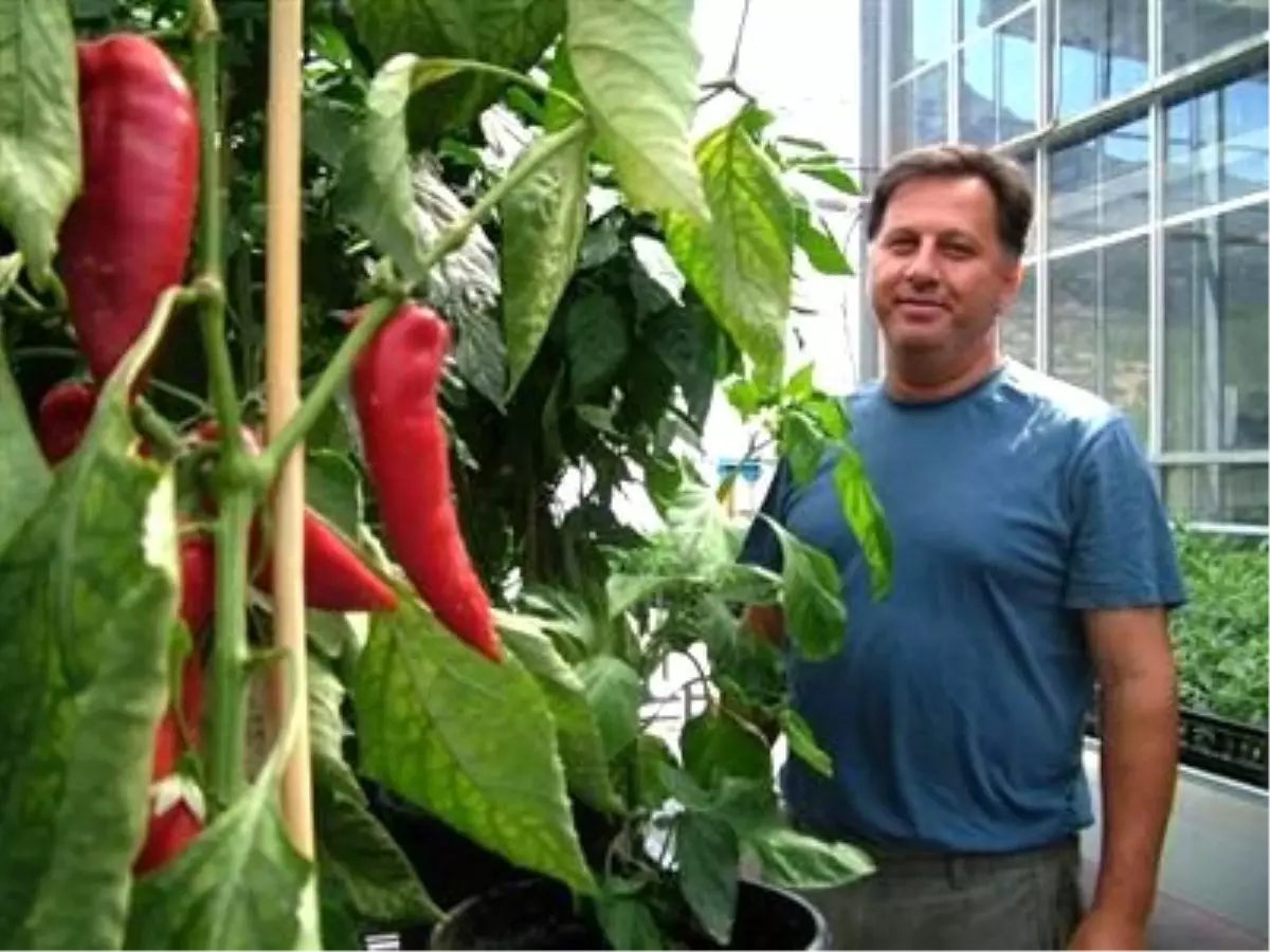 Bibere Bilimsel Araştırma