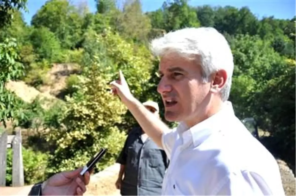 Heyelana Milletvekili El Attı