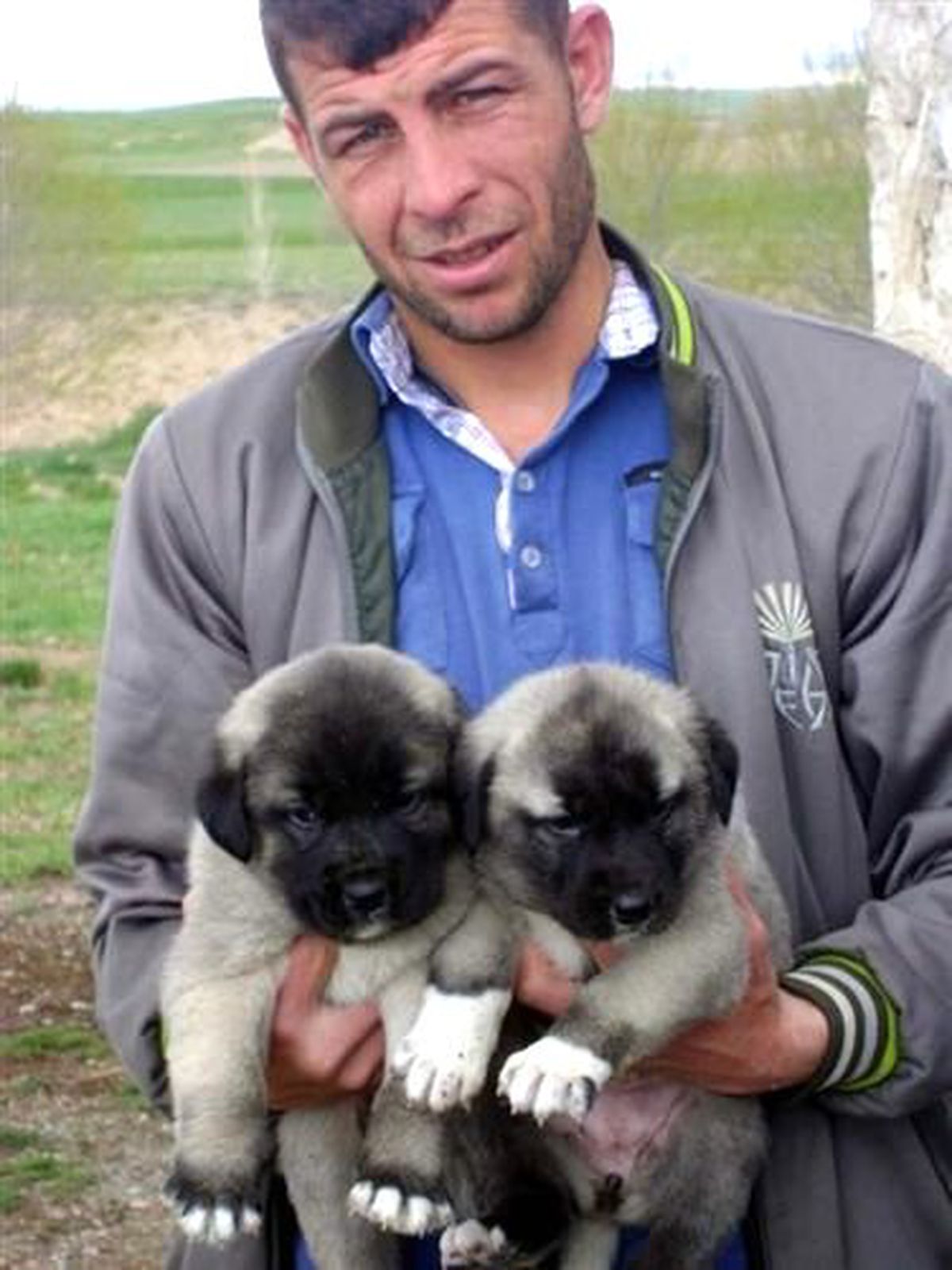 Kangal\'da Cinayet: 1 Ölü