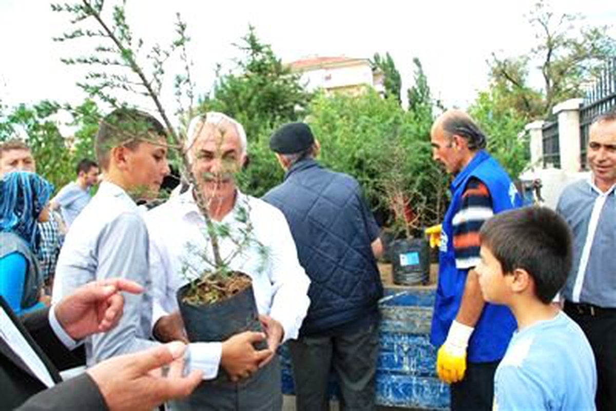 Mezarlıklarda Ücretsiz Fidan Dağıtıldı