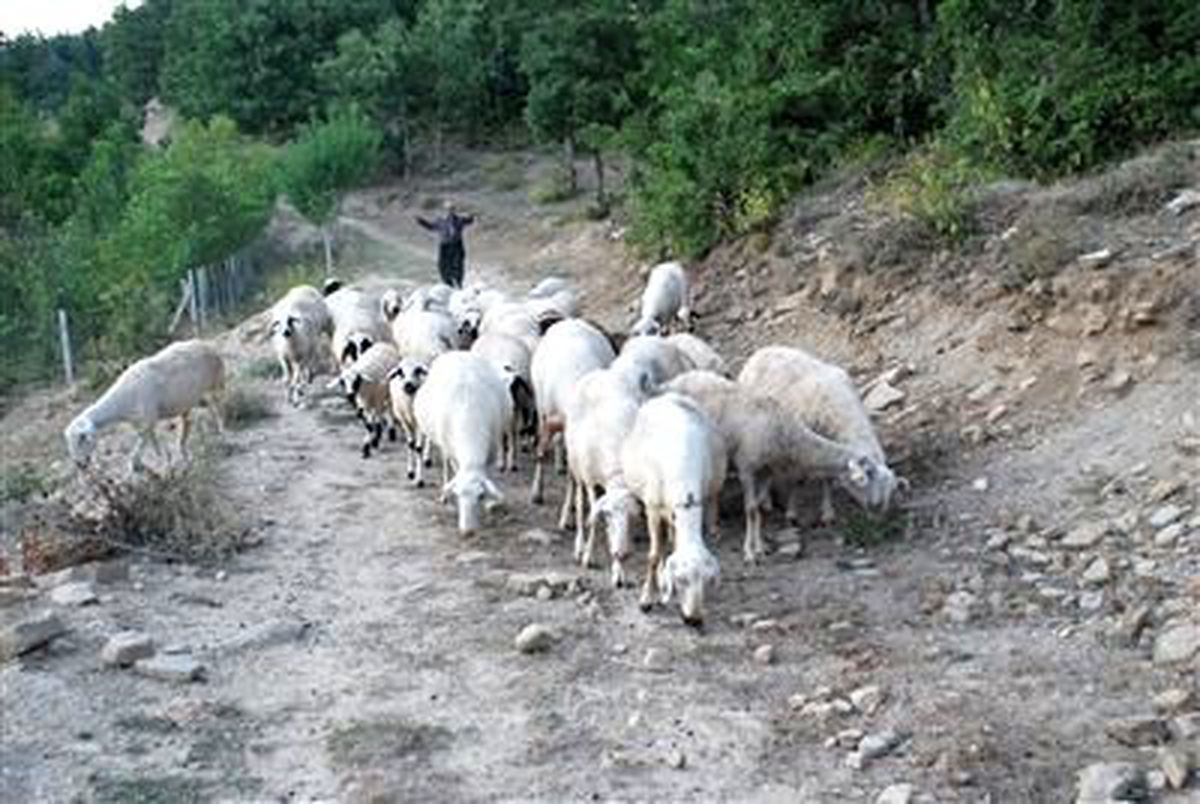 (Özel Haber) Kahramanmaraş\'taki Yayla Evleri, Tatilcilerin Mekanı Oldu