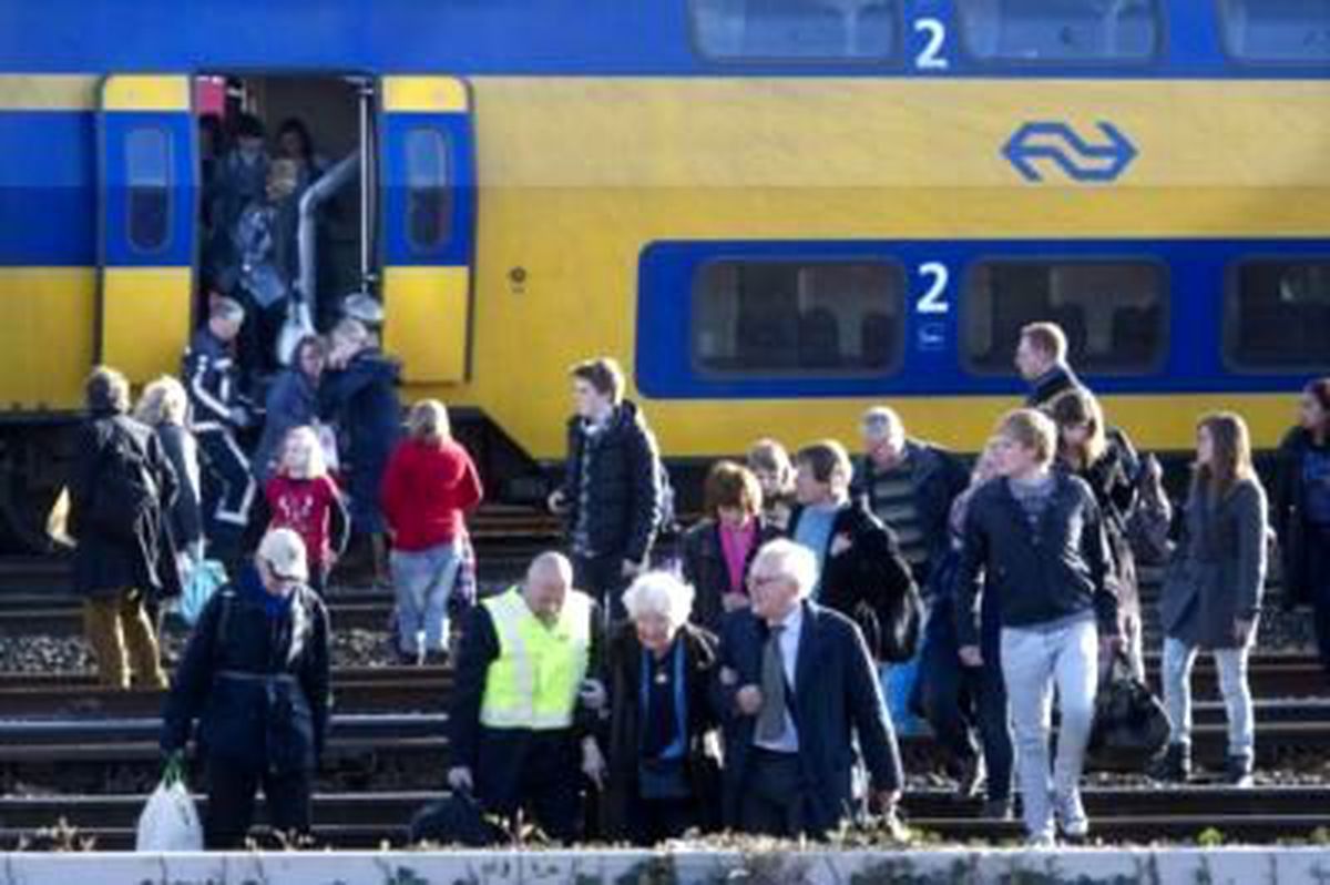 Almanya\'da Banliyö Treni Ağaca Çarptı
