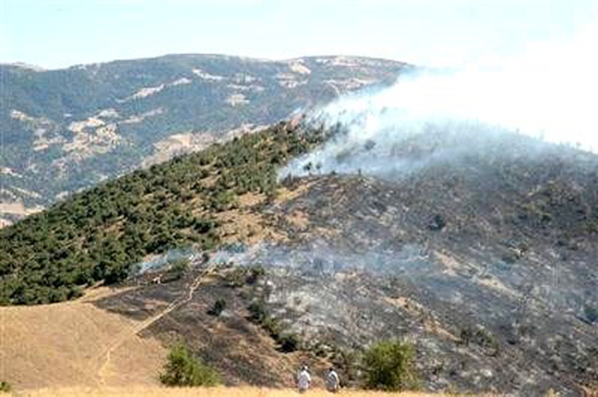 Anız Yangını Ormana Sıçradı