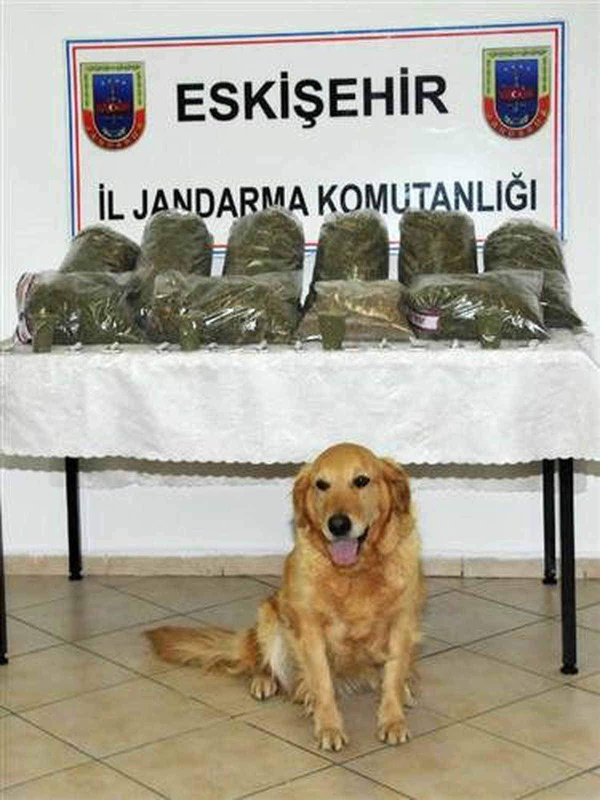 Eskişehir\'de Uyuşturucu Operasyonu