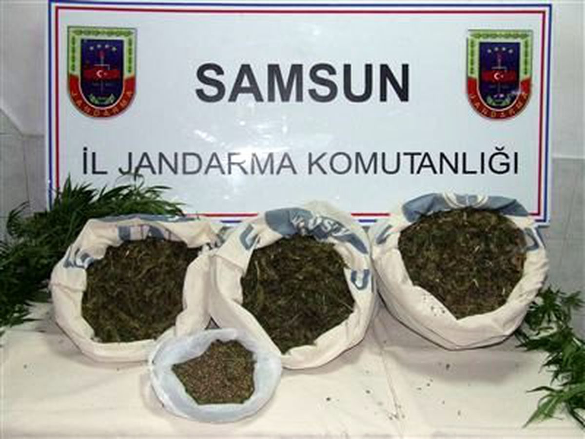 Jandarmadan Zehir Operasyonu