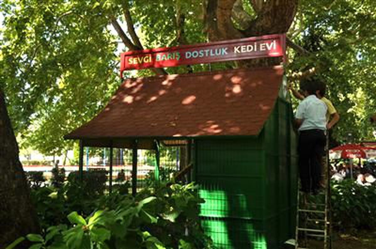 Kdz. Ereğli\'de İkinci Kedi Beslenme Ünitesi Açılıyor