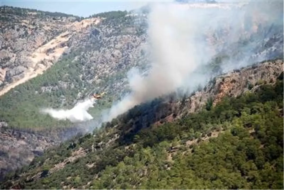Mersin'deki Orman Yangını
