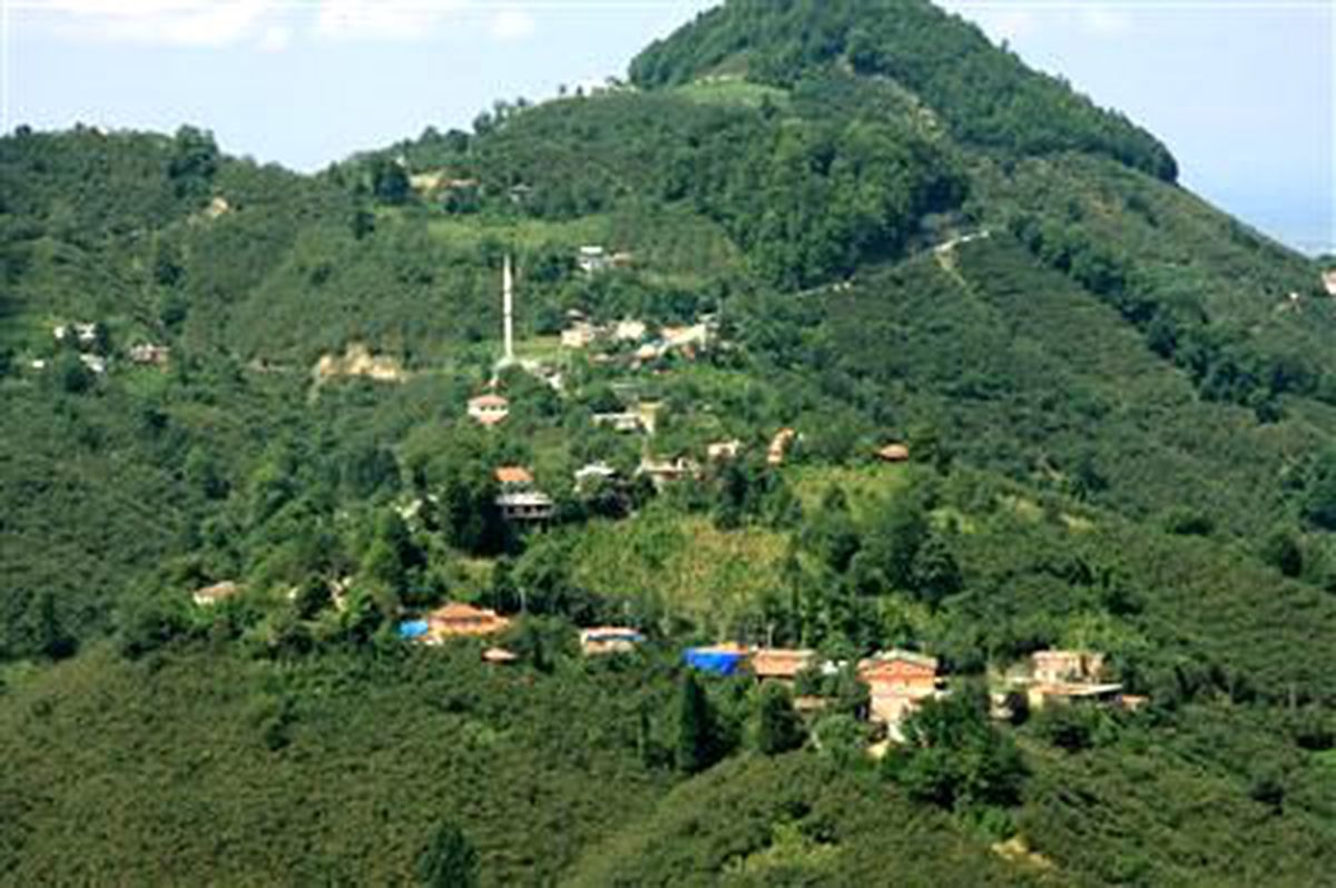 Ordu\'da 412 Köyün Yerleşik Alan Tespitleri Yapıldı