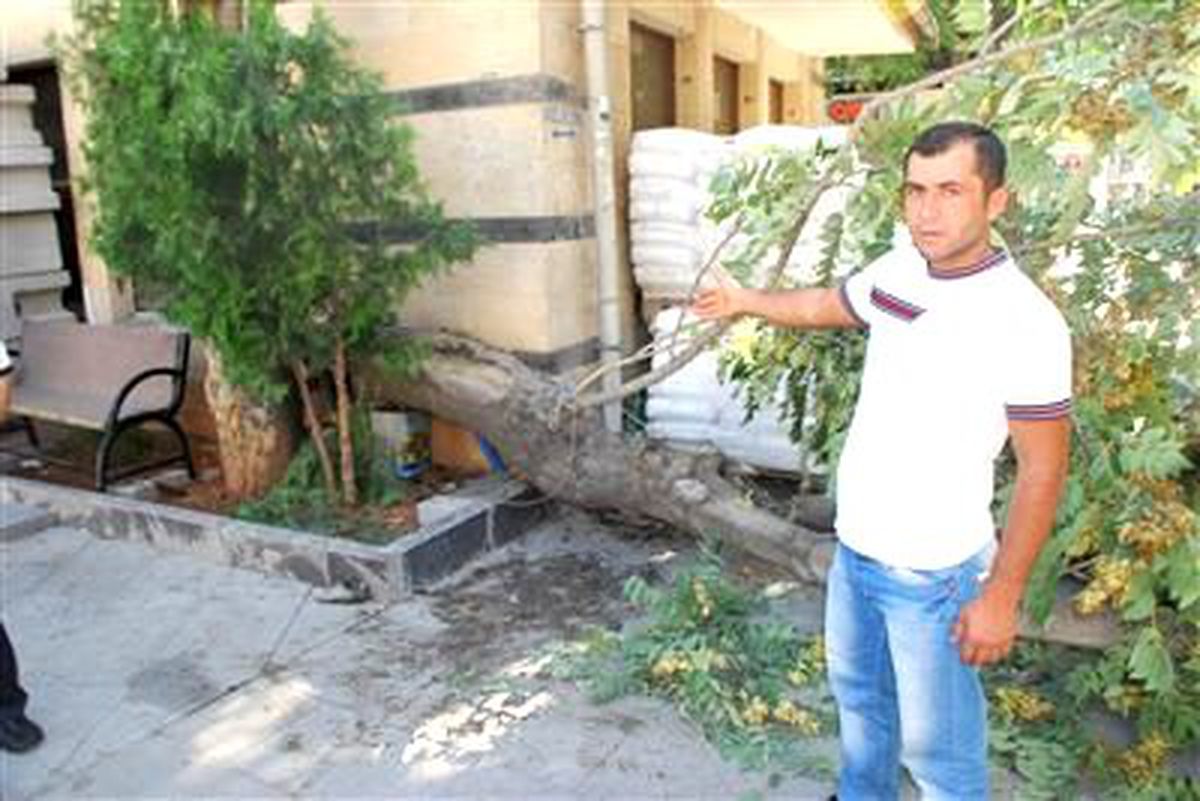 Torununun Gözü Önünde Devrilen Ağacın Altında Kaldı