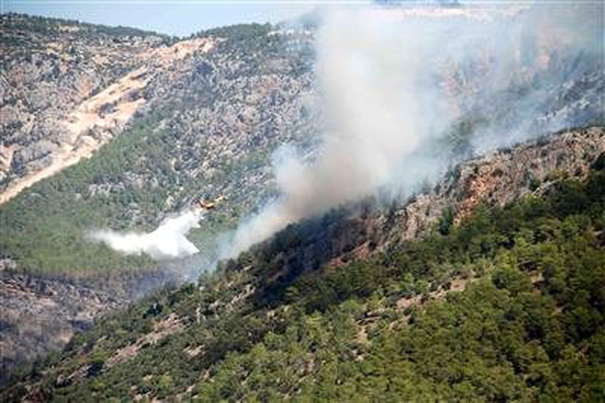 Anız Yangını Ormana Sıçradı (2)