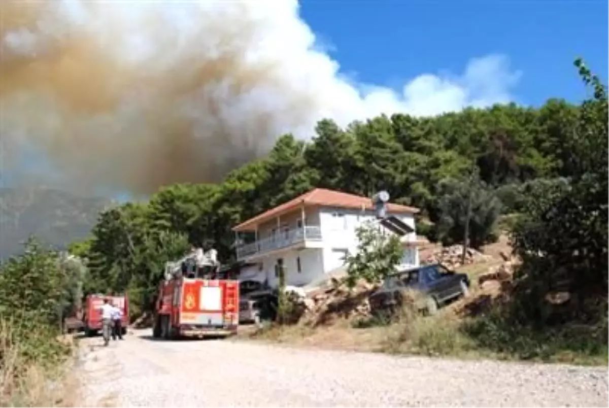 Gülnar'daki Orman Yangını