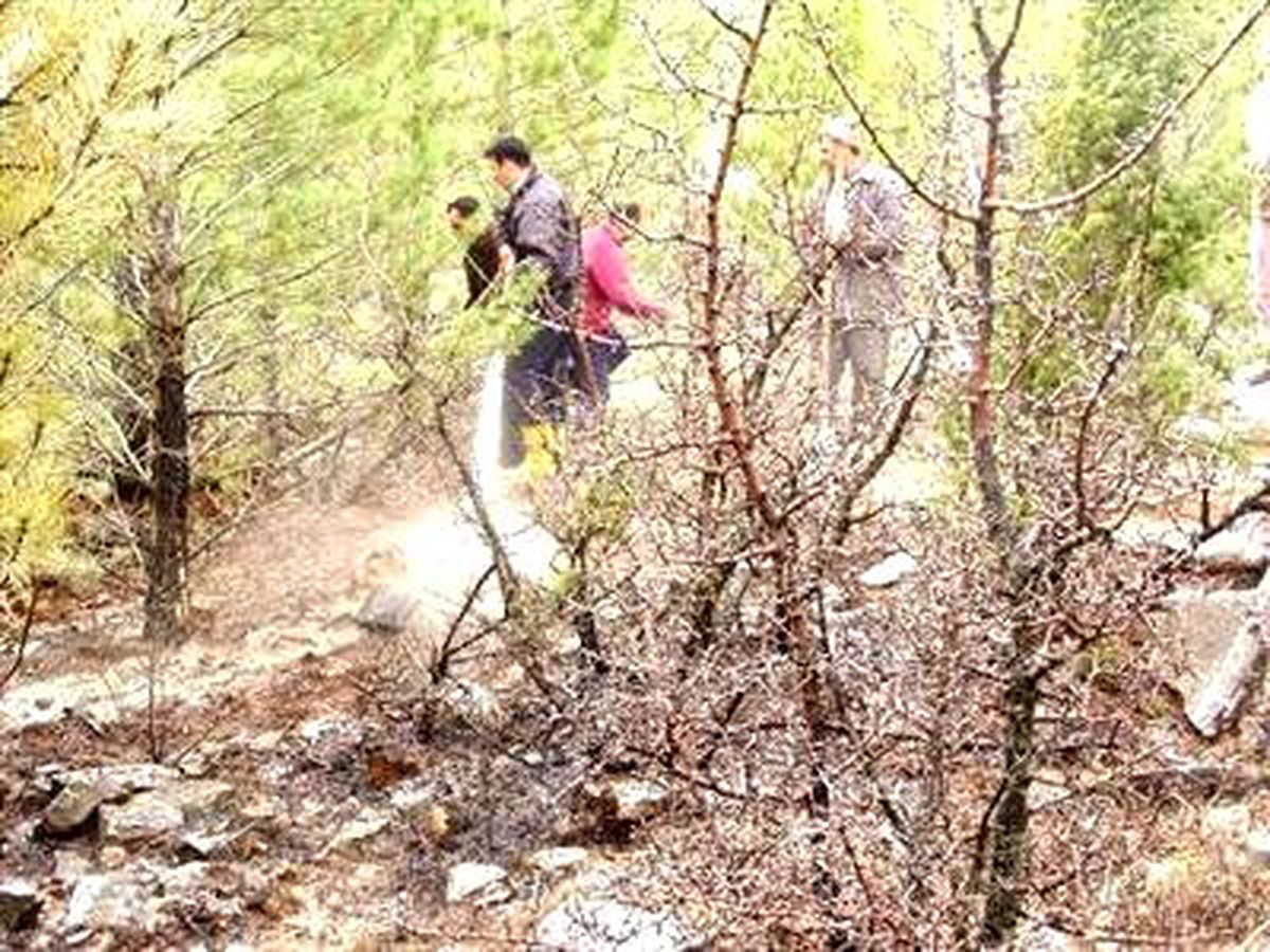 Ormanlık Alanda Çıkan Yangın 6 Saat Sonra Kontrol Altına Alınabildi