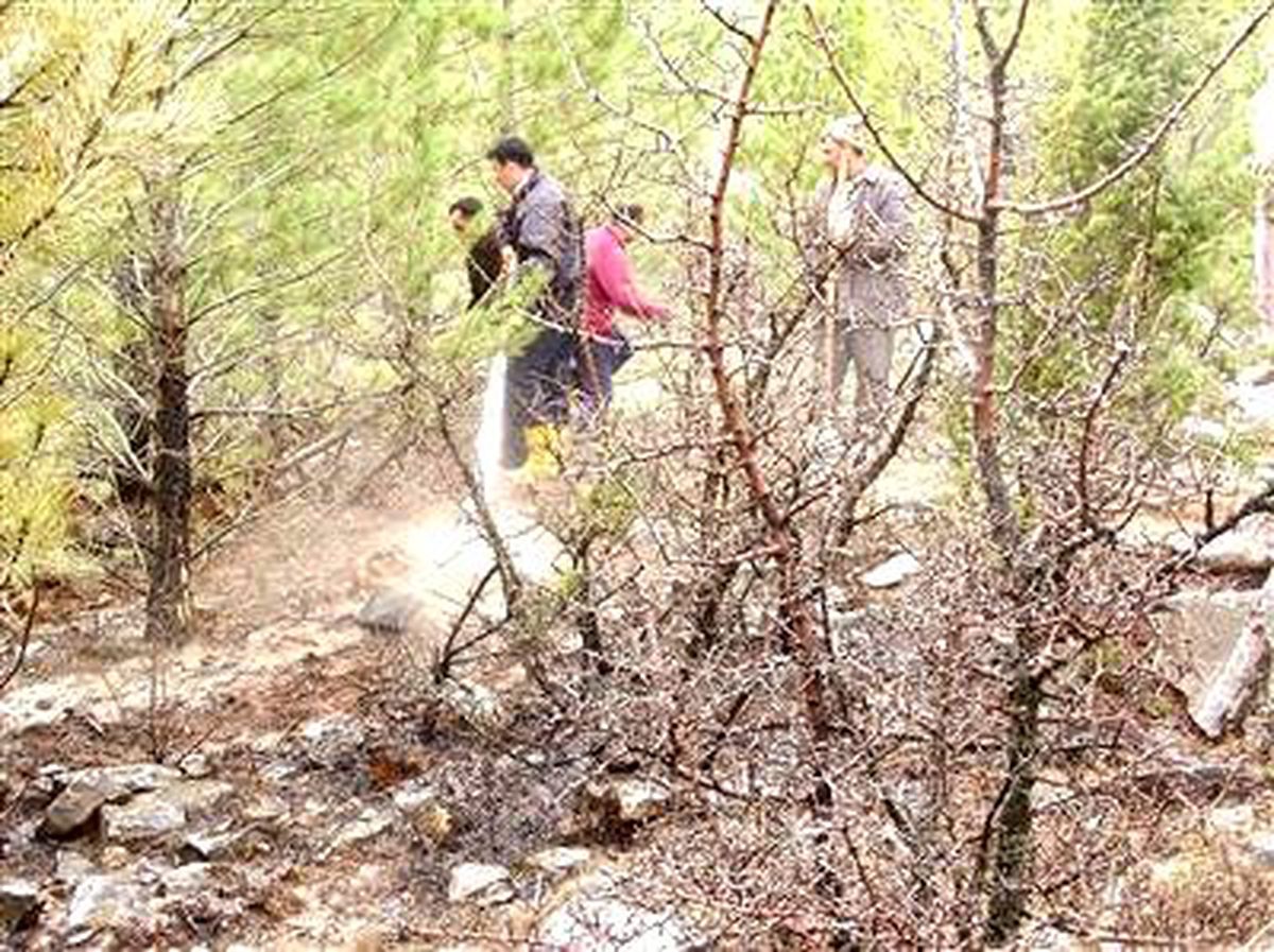 Seydişehir\'de Orman Yangını