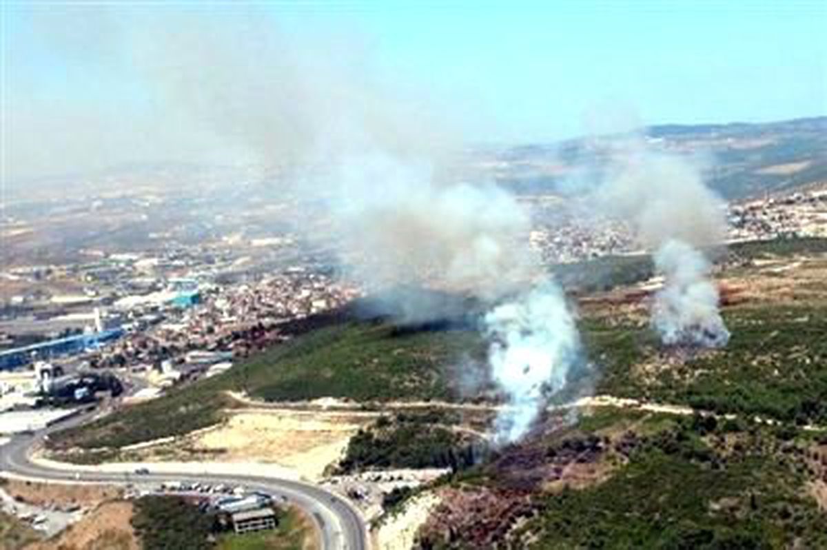 Dilovası\'ndaki Orman Yangınında Kundaklama Şüphesi