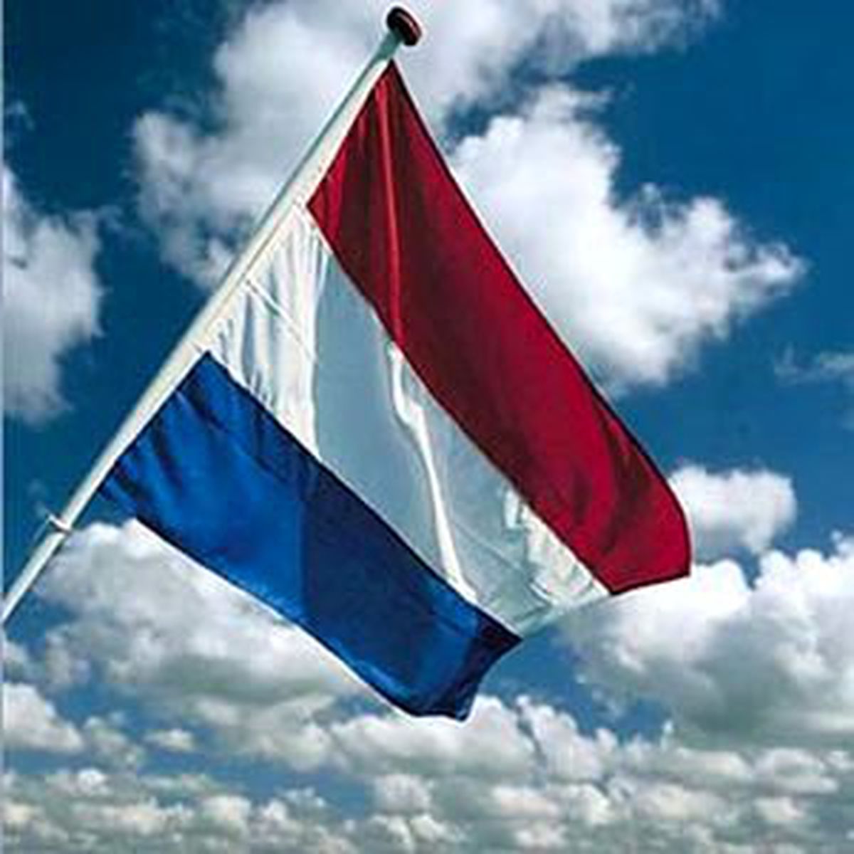 Hollanda Erken Genel Seçime Hazırlanıyor