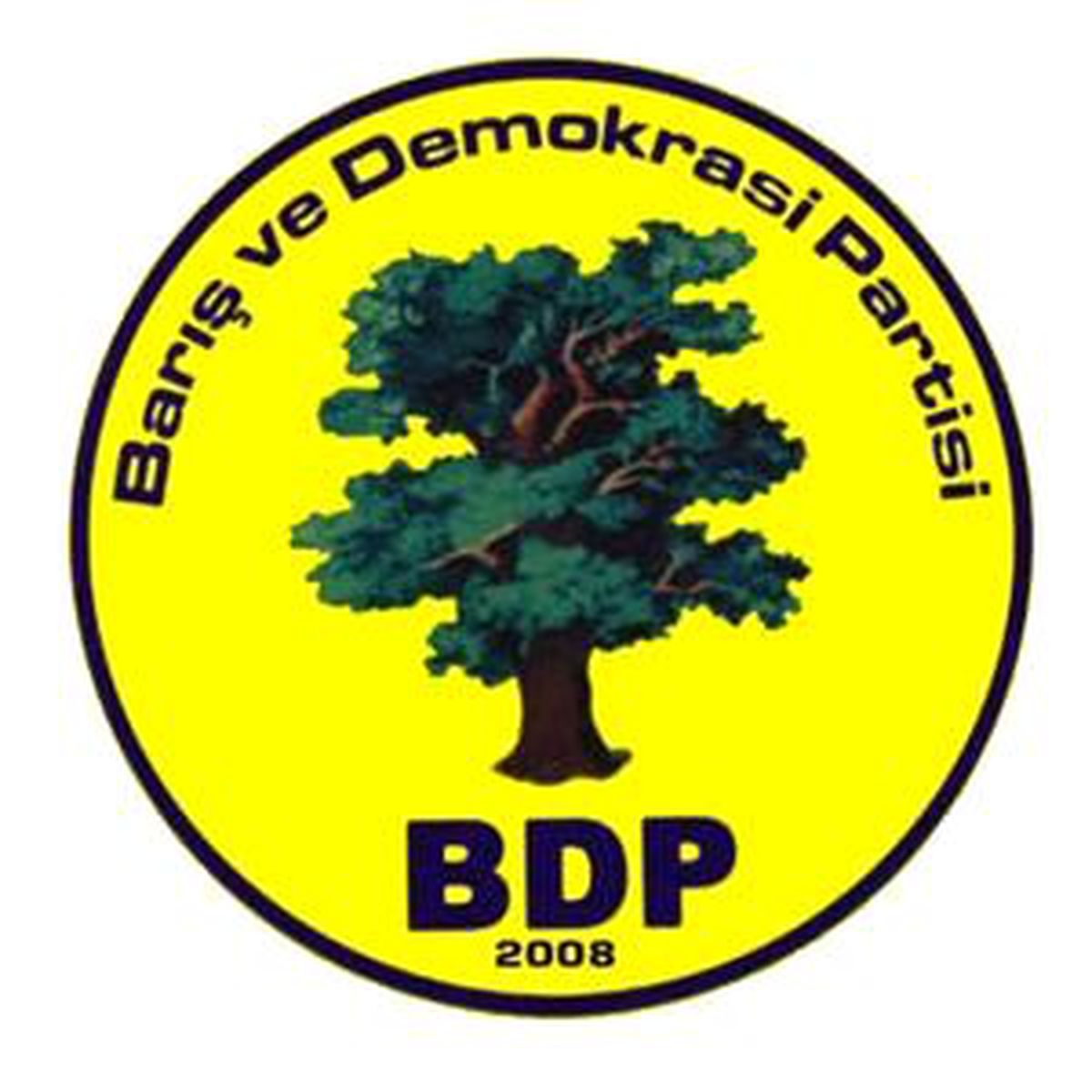 İskenderun\'da BDP İlçe Binasına Ses Bombalı Saldırı