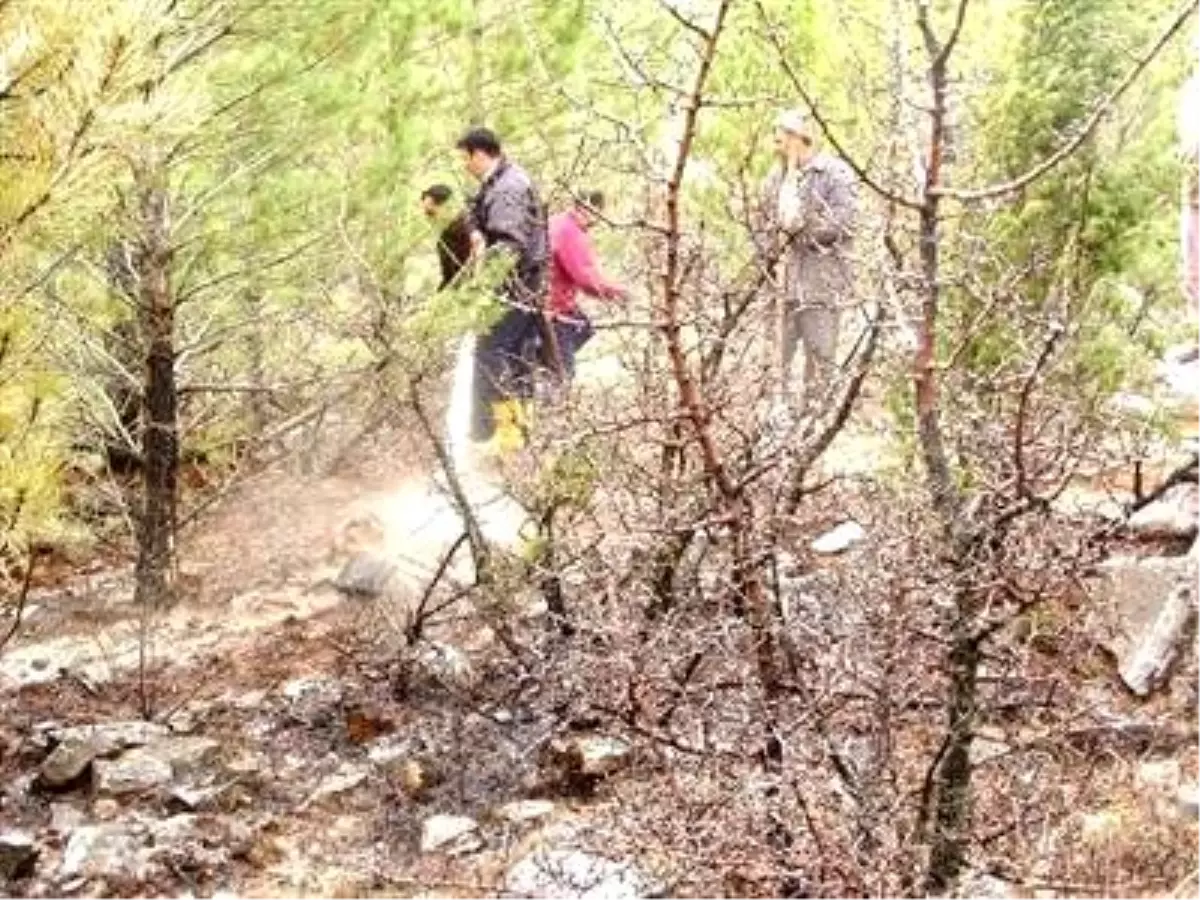 Orman Yangını Kontrol Altına Alındı