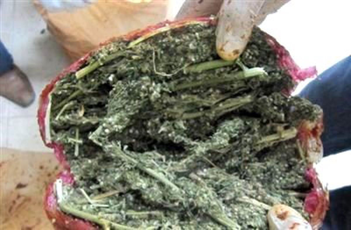 Salça Bidonlarından 8 Kilo Esrar Çıktı