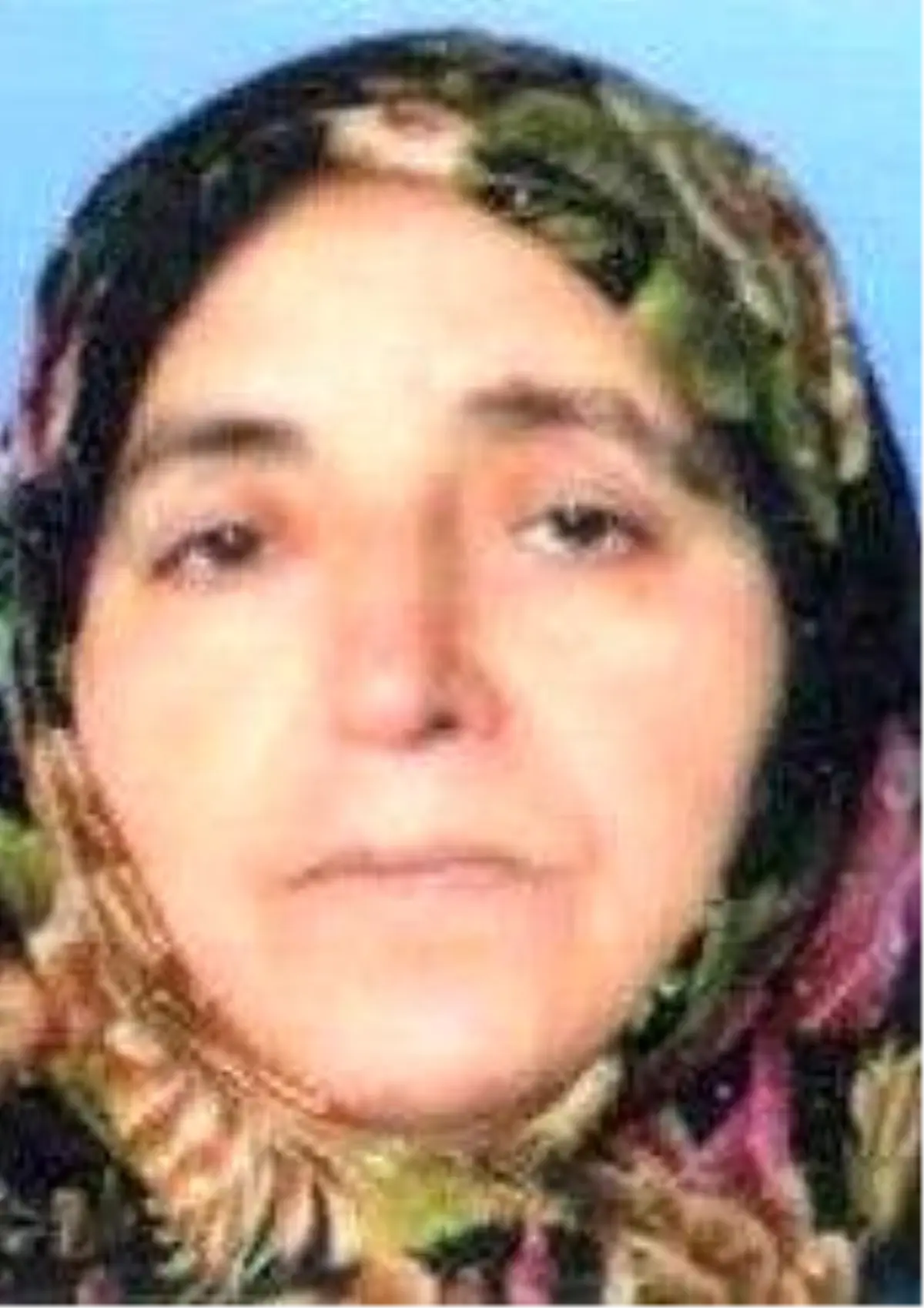 Arıların Soktuğu Kadın Öldü