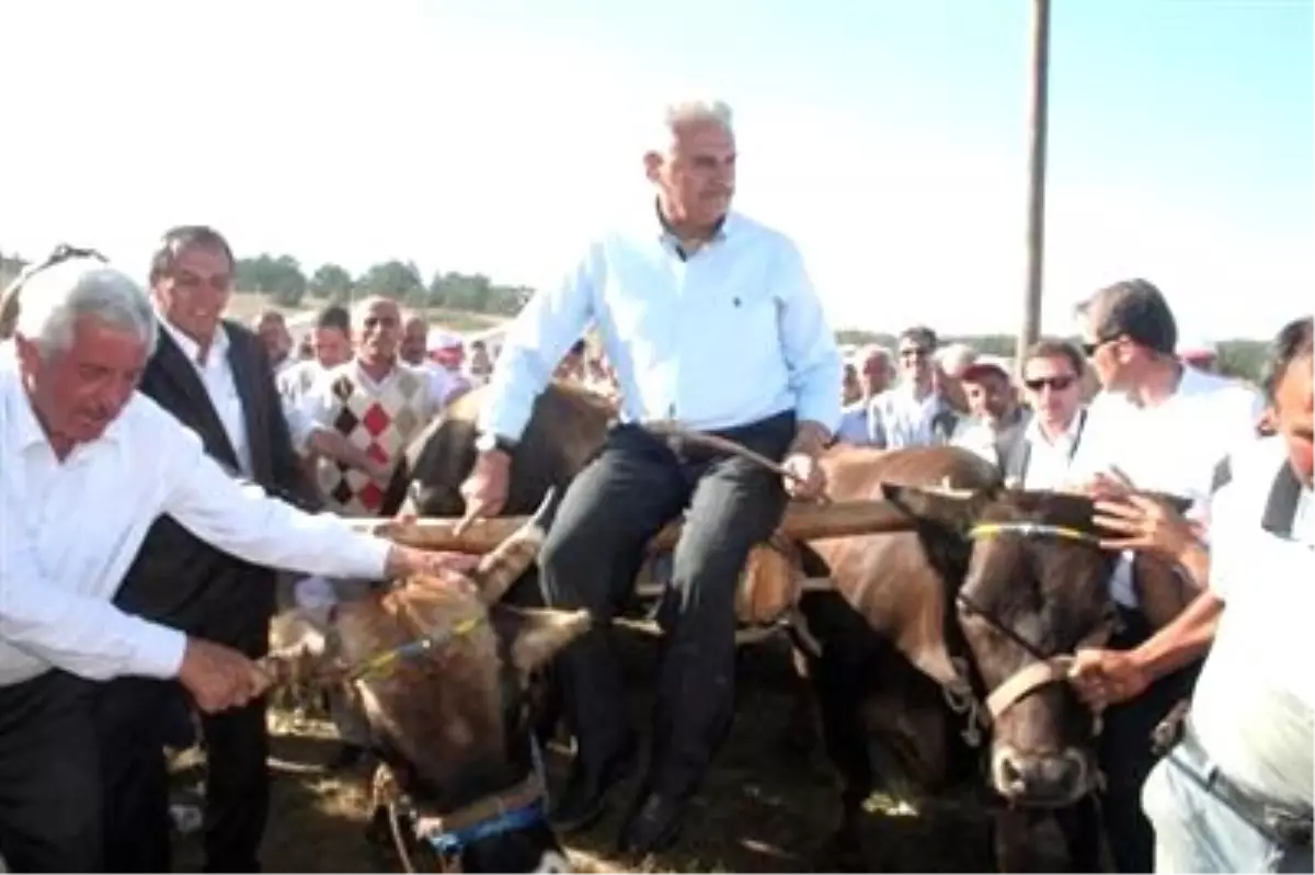 Bakan Binali Yıldırım\'dan,yazar Yılmaz Özdil\'e Yanıt